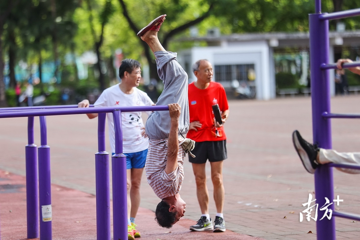 alt, 南方, https