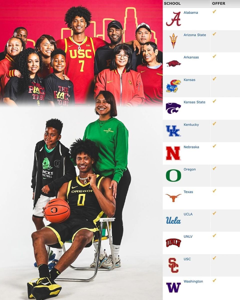 费的破产新, 一步回暖打, sCg